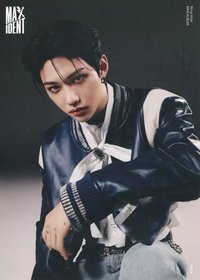 MAXIDENT 海報 迷你海報