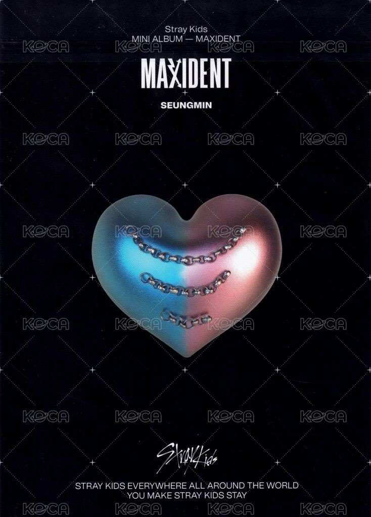 MAXIDENT 海報 迷你海報 背面