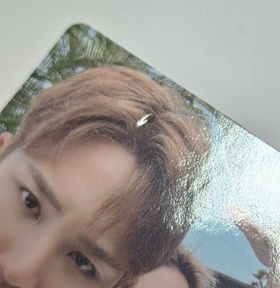 [SVT] 哲奎特典 一套不拆