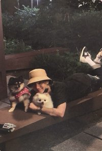 正一後續 專輯卡 