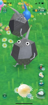 多多汪汪汪