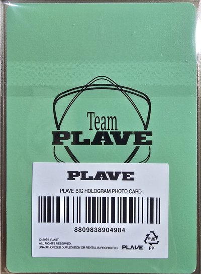TEAM PLAVE 帽T卡