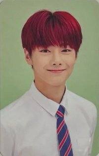 Hi-Stay TOUR in KOREA 周邊卡 