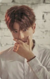 Hi-Stay TOUR in KOREA 周邊卡 