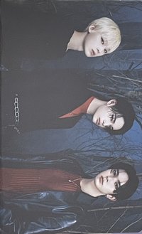 WTL世巡 隨機卡 WTL 三人隨機卡