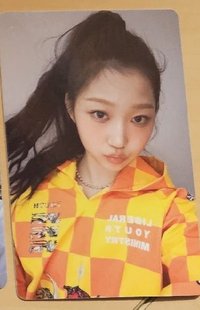 SPEED ZONE 專輯卡 