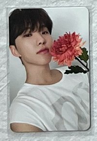 🐯榮精選專克拉盤隨機卡