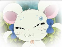 メル