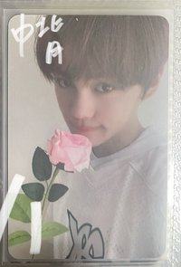 迷四 七夕玫瑰 中背