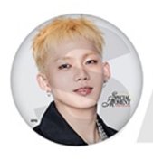 2025日本FM wvs 日咖 徽章 