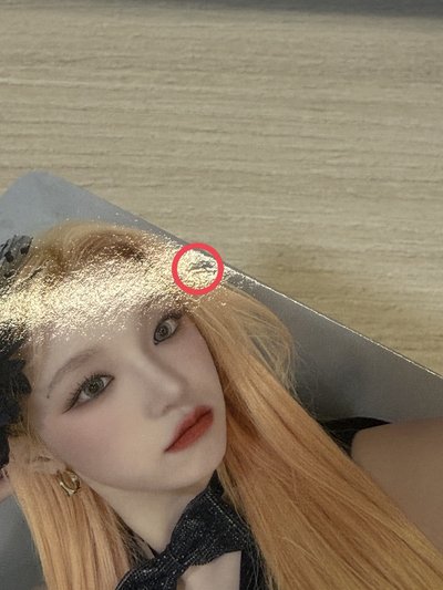 迷五 sw3.0 禮帽琦