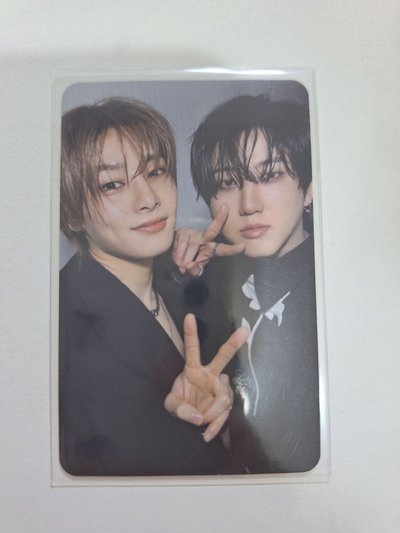 ATE專卡 毛絨寅 雙人卡