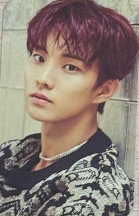 LAPOTHICELL 專輯卡 