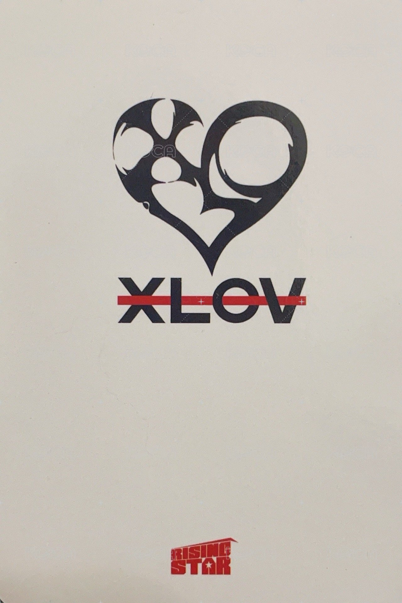 I’mma Be Rising-star 線下3.0 簽售卡  背面