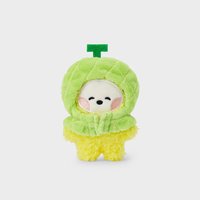 BT21 minini SS娃 水果系列