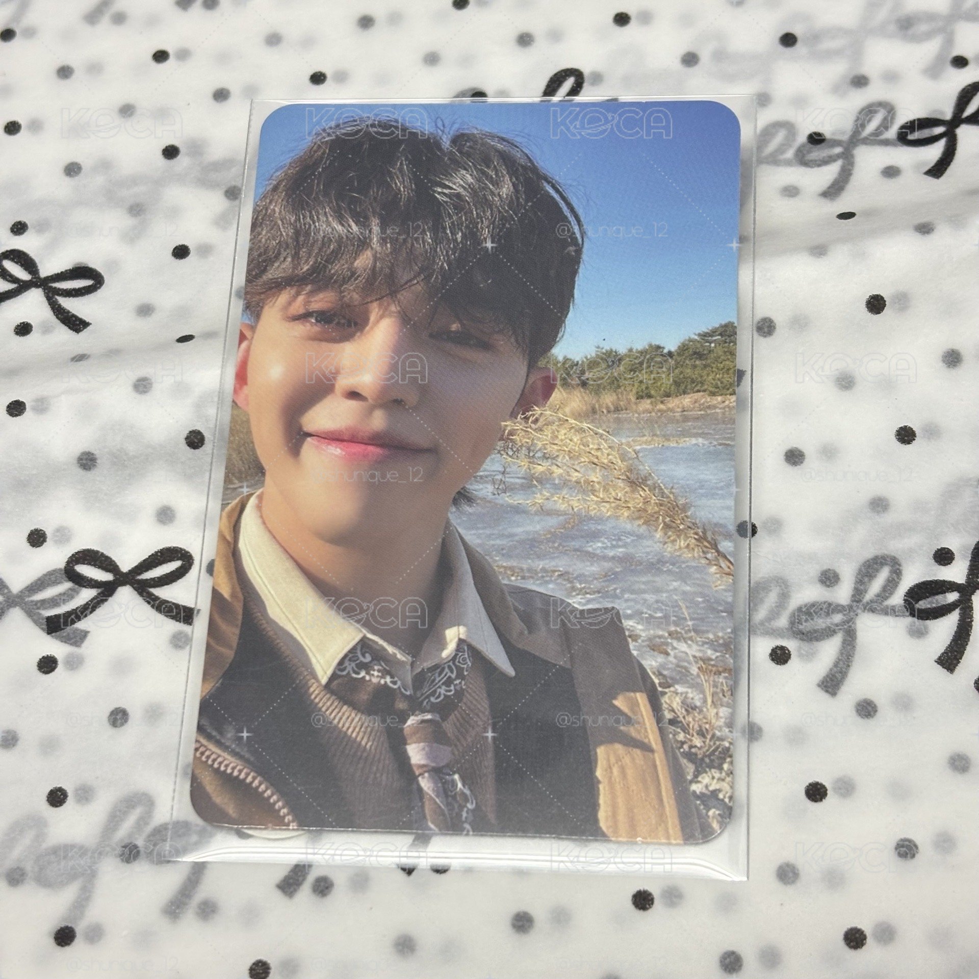 SVT正四專卡 scoups
