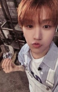 🔴直播卡（1）