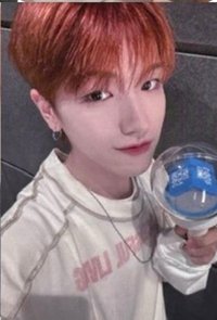 🔴仁川粽（2）