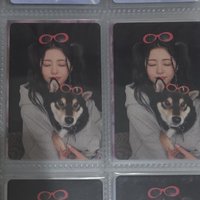 UNFORGIVEN 電子專專卡 允(抱狗)