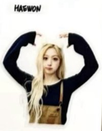 正規一 am 咖啡店 4.0 貼紙 動物塑滿贈貼紙