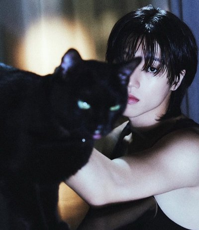 黑貓友榮放這裡