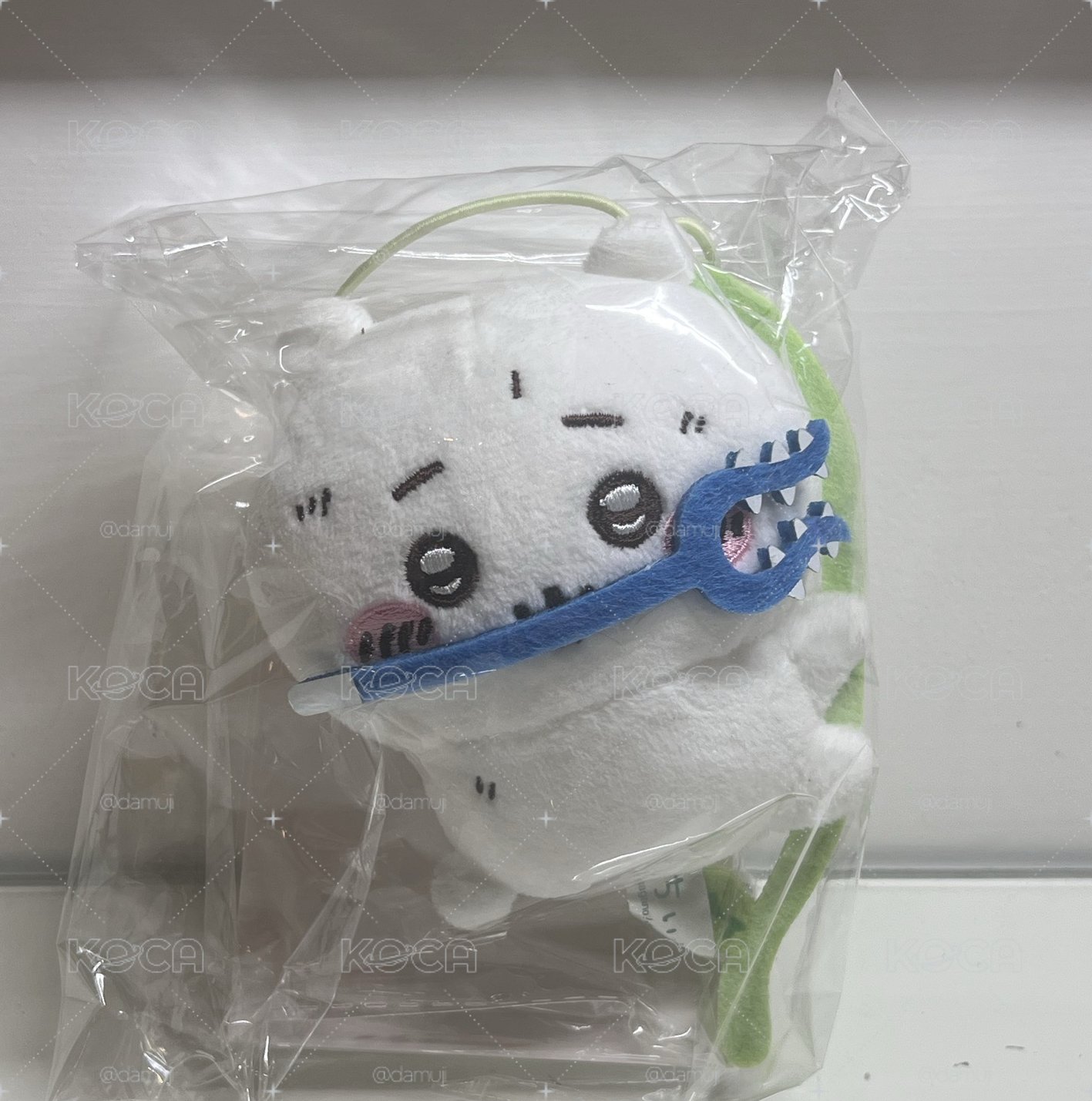 藤蔓吉伊