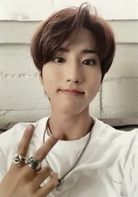 Clé 2 : Yellow Wood 生寫真 