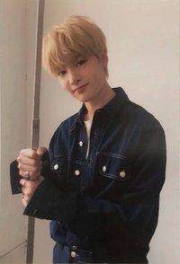 Clé 2 : Yellow Wood 生寫真 