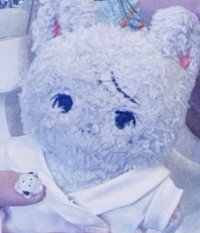 兩張卡一張拍立得