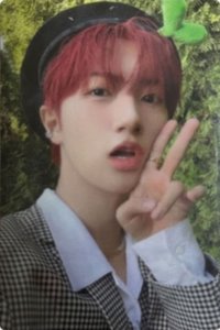 SUN SEEKER 抽選卡 官咖卡 小草ver.