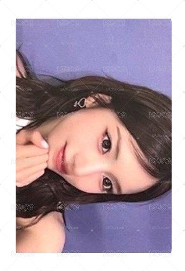 公主友