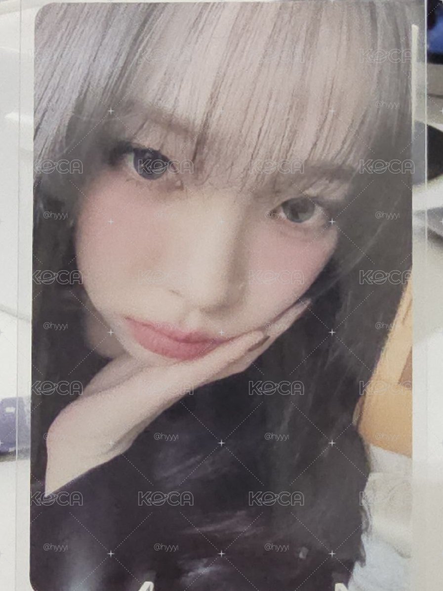 聖誕柚
