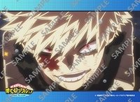 FINAL SEASON 影印 相卡 163話 011