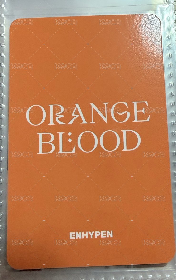 迷五 kkt 特典卡  背面