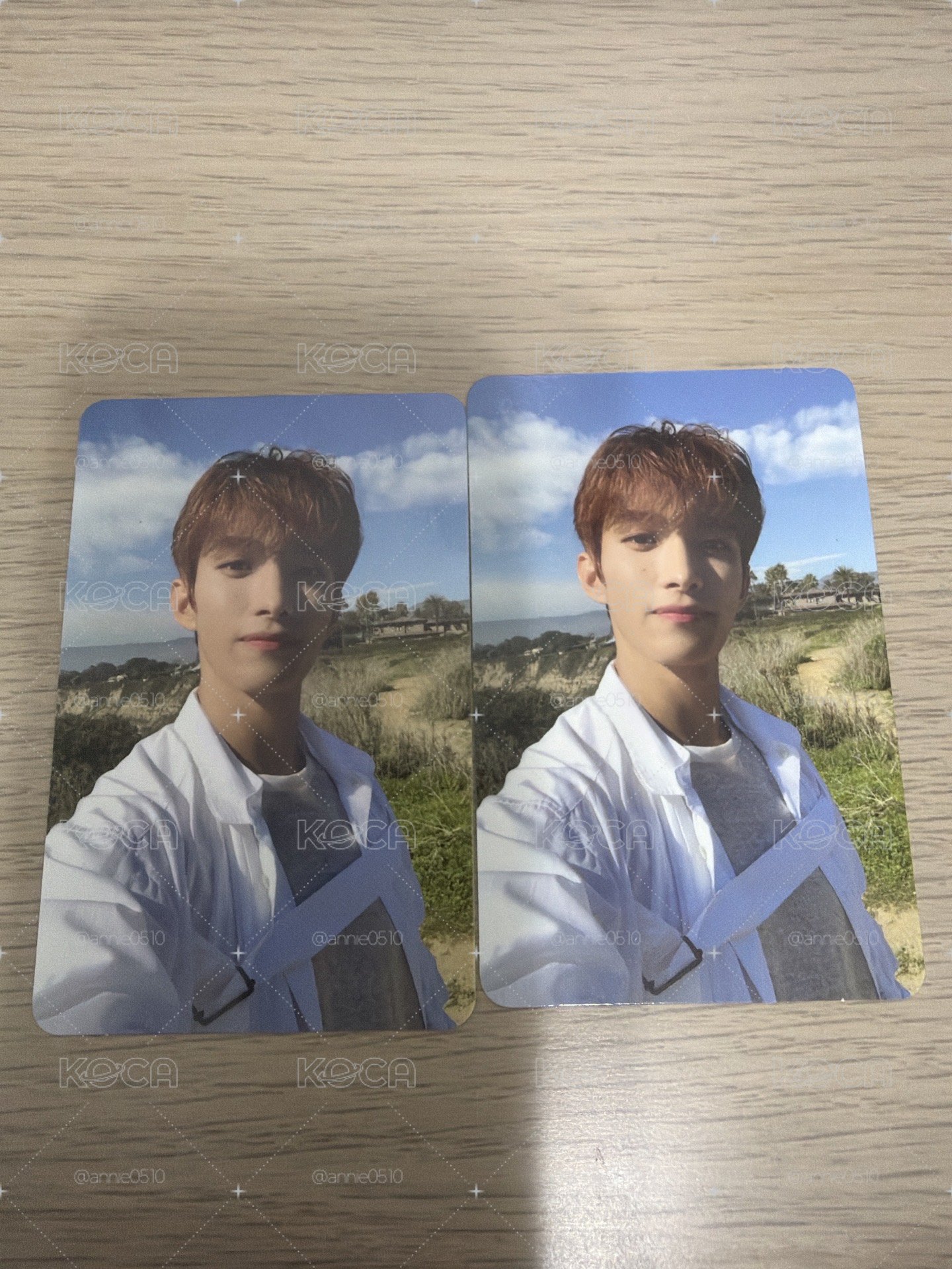 Seventeen DK 迷7專輯小卡