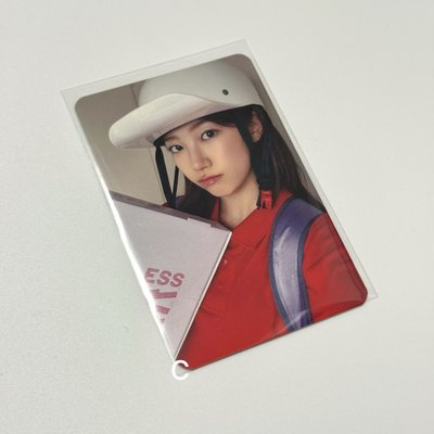 SPAGHETTI ms 預售 中背 葉