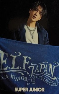 日單8 專輯卡 
