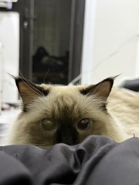 最近退坑SKZ想收可關注🌟