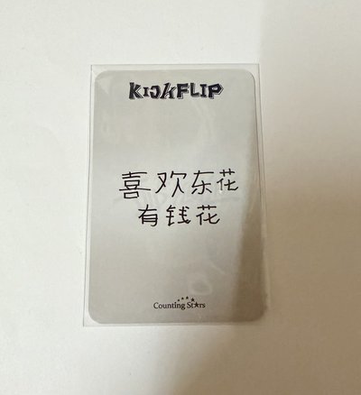 KFP 數星星星之卡比 李東花