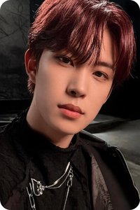 迷一 索尼 特典卡 