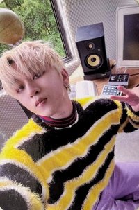 途迷 平裝版 專輯卡 蜜蜂廷