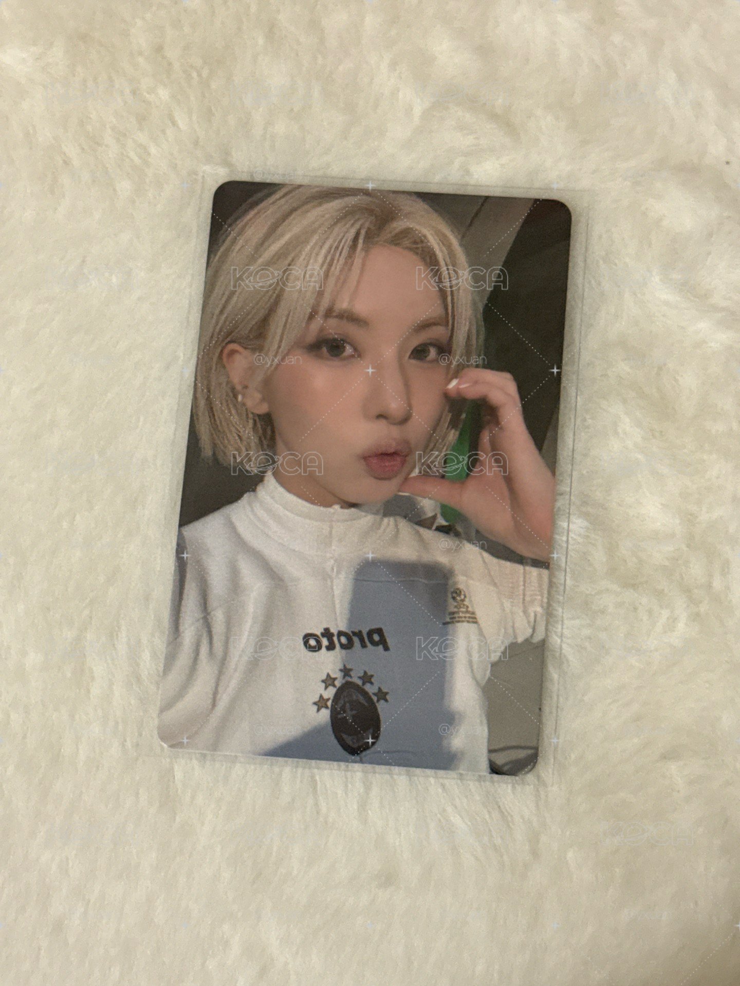 FORWARD jyp預售 裴