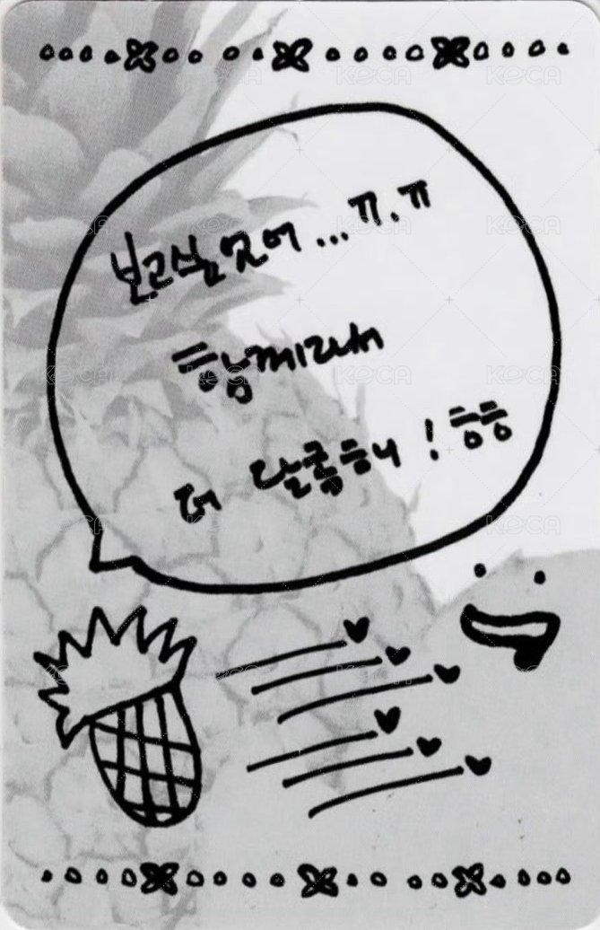 bolo4 專輯卡 Pineapple ver. 背面