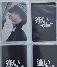 漂亮小貓一起帶回家