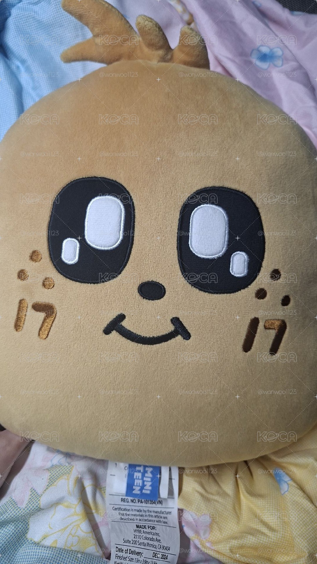 💙奎抱枕(詢問中 勿下）