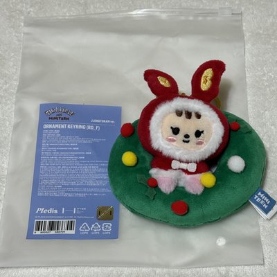 MINITEEN 聖誕花圈 漢 榮 圓 碩