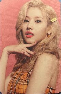 TWICE X Apieu 代言卡 