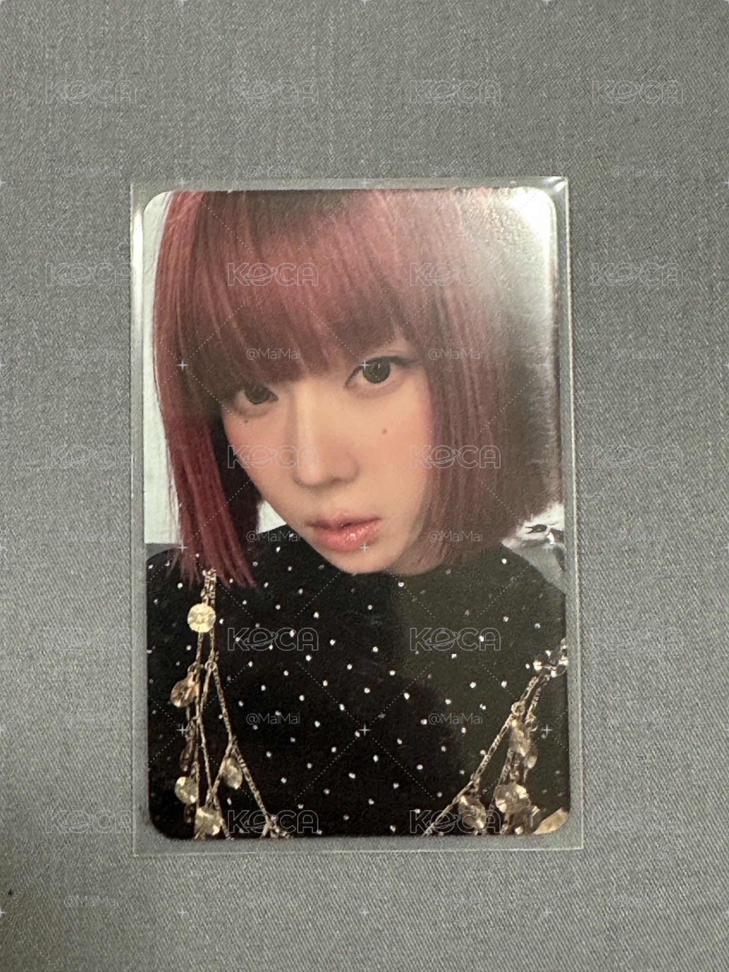 Whiplash BN 冬