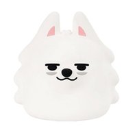 ROYCHE wvs 崔勇猛 夜燈 