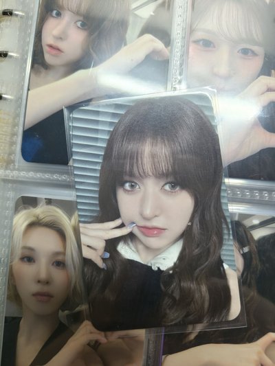 動物塑+泡菜莉+麻糬莉